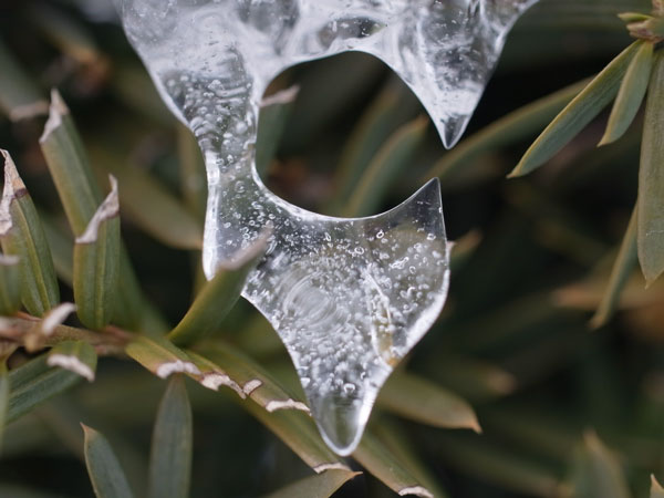 f:id:elmikamino:20101226121943j:image