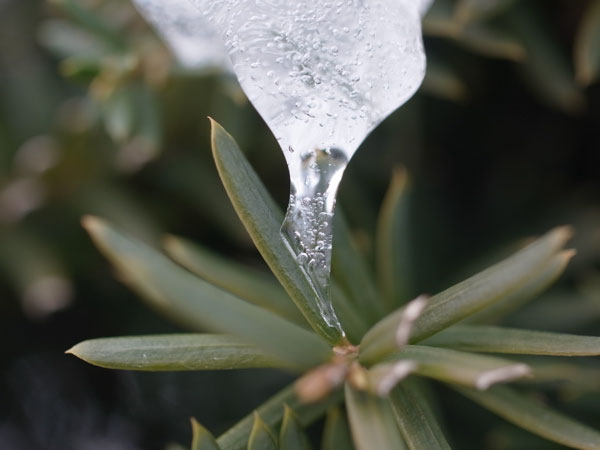 f:id:elmikamino:20101226121944j:image