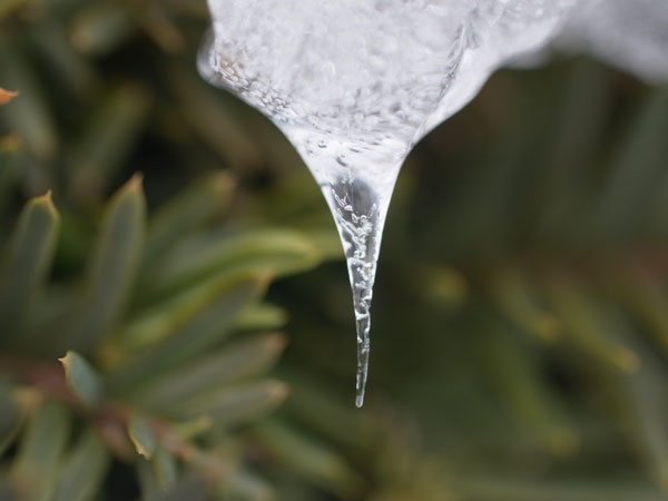 f:id:elmikamino:20101226121947j:image