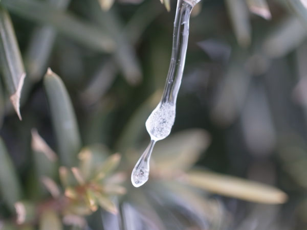 f:id:elmikamino:20101226121948j:image