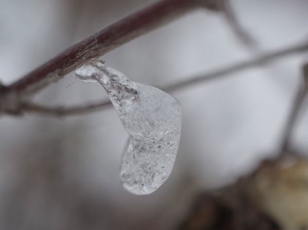 f:id:elmikamino:20101226121949j:image