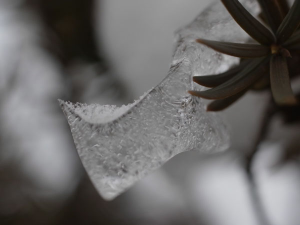 f:id:elmikamino:20101226121954j:image