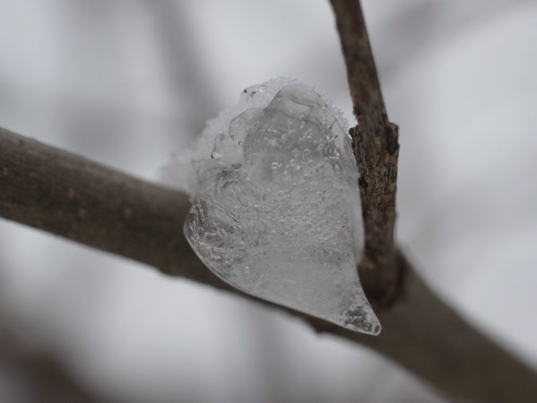 f:id:elmikamino:20101226121955j:image