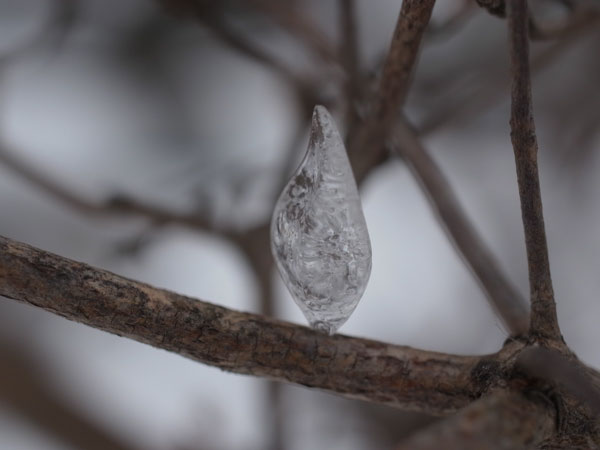 f:id:elmikamino:20101226121958j:image