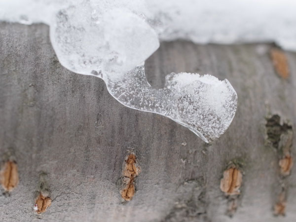 f:id:elmikamino:20101226122000j:image