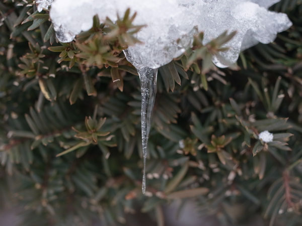 f:id:elmikamino:20101226122001j:image