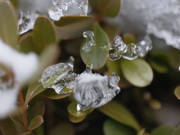 f:id:elmikamino:20101226122004j:image