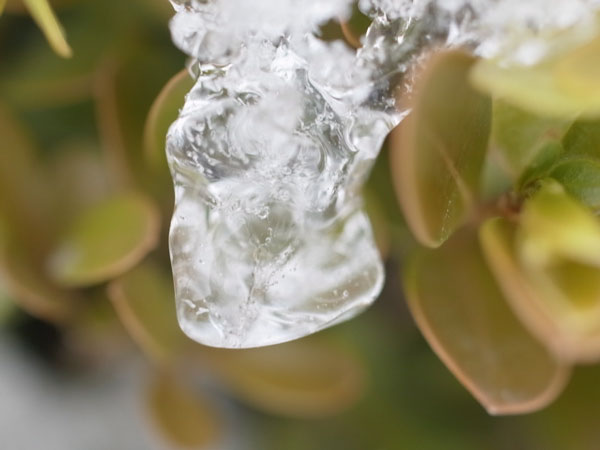 f:id:elmikamino:20101226122006j:image