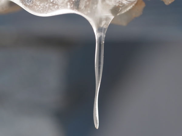 f:id:elmikamino:20101226122010j:image