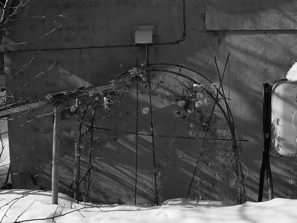 f:id:elmikamino:20110203114511j:image