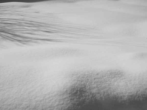 f:id:elmikamino:20110203114523j:image