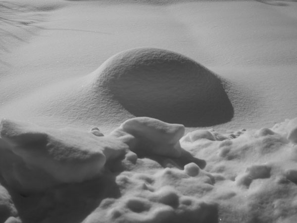 f:id:elmikamino:20110203114524j:image