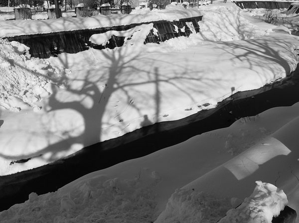 f:id:elmikamino:20110203124732j:image