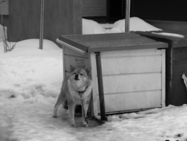 f:id:elmikamino:20110217134521j:image