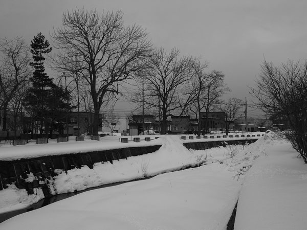 f:id:elmikamino:20110217134529j:image