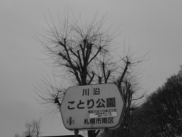 f:id:elmikamino:20110217134530j:image