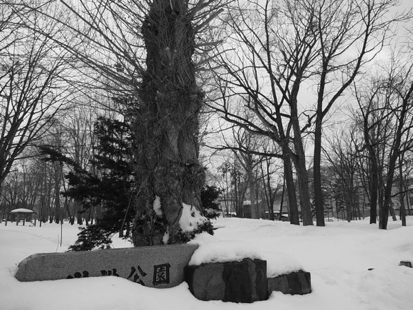 f:id:elmikamino:20110218141435j:image