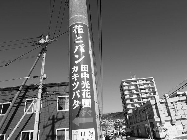 f:id:elmikamino:20110228102600j:image f:id:elmikamino:20110228102600j:image