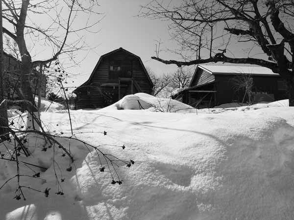 f:id:elmikamino:20110228103835j:image f:id:elmikamino:20110228103835j:image