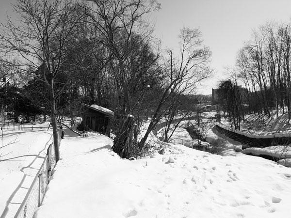 f:id:elmikamino:20110228104656j:image f:id:elmikamino:20110228104656j:image
