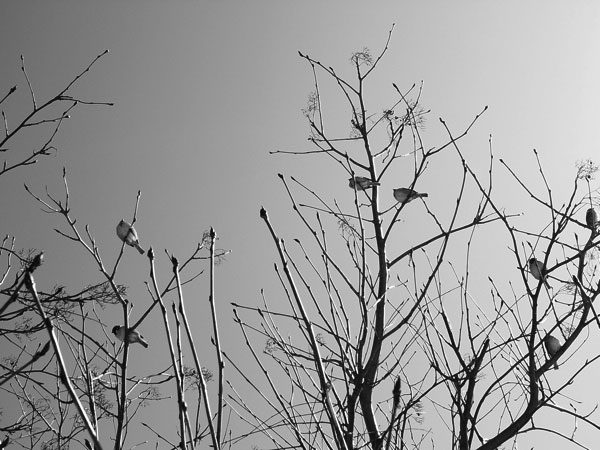 f:id:elmikamino:20110228105127j:image f:id:elmikamino:20110228105127j:image