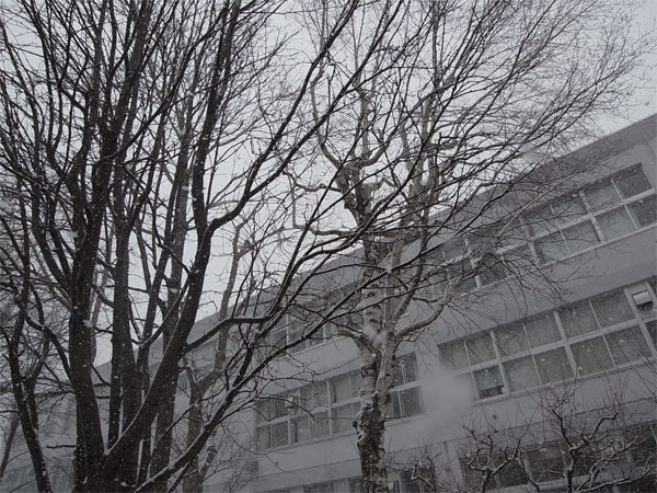 f:id:elmikamino:20110324013352j:image