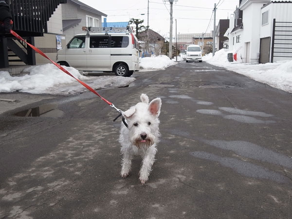 f:id:elmikamino:20110326152834j:image