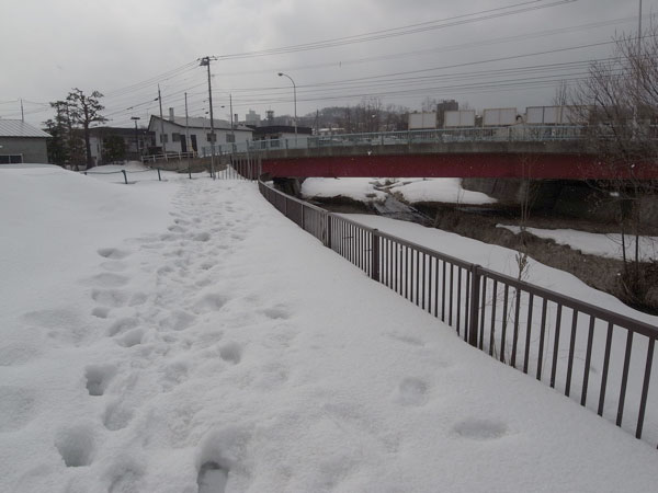 f:id:elmikamino:20110326160340j:image