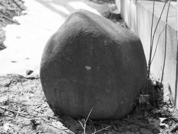 f:id:elmikamino:20110406124915j:image