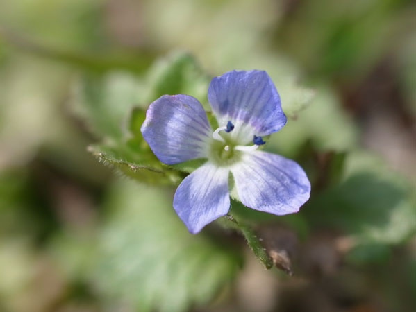 f:id:elmikamino:20110411135517j:image f:id:elmikamino:20110411135517j:image
