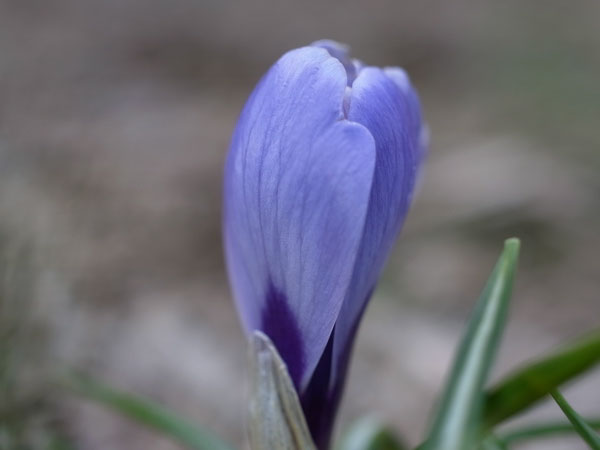 f:id:elmikamino:20110411135526j:image f:id:elmikamino:20110411135526j:image