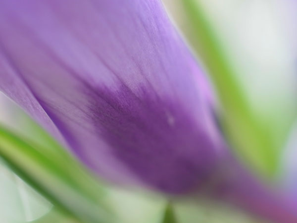 f:id:elmikamino:20110417112026j:image