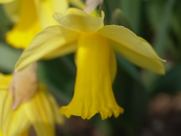 f:id:elmikamino:20110422102313j:image