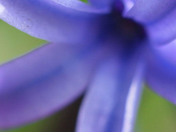 f:id:elmikamino:20110422103806j:image