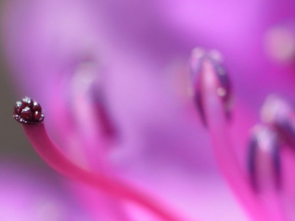 f:id:elmikamino:20110430151556j:image f:id:elmikamino:20110430151556j:image