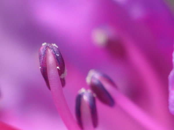 f:id:elmikamino:20110430151557j:image f:id:elmikamino:20110430151557j:image