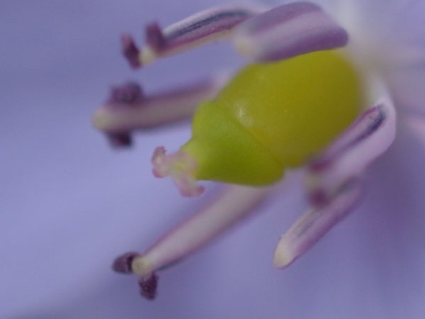 f:id:elmikamino:20110430151602j:image f:id:elmikamino:20110430151602j:image