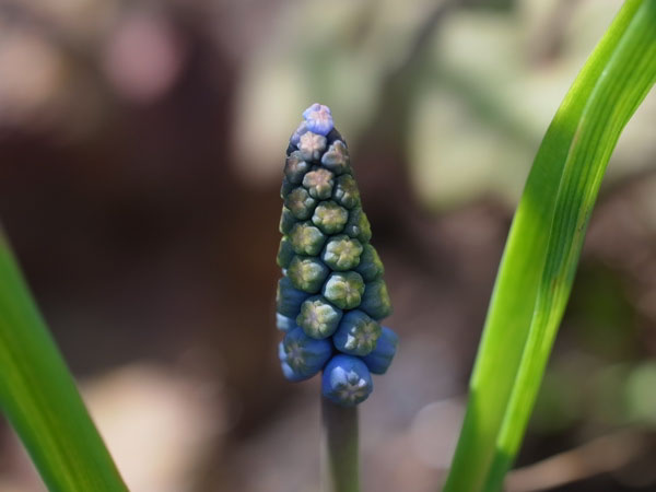 f:id:elmikamino:20110430151603j:image f:id:elmikamino:20110430151603j:image