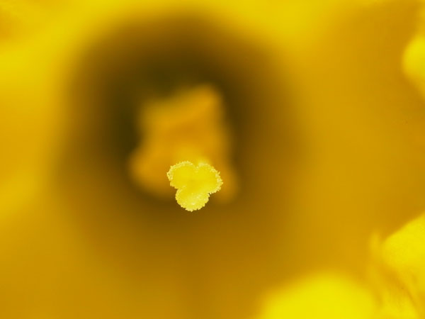 f:id:elmikamino:20110430151612j:image f:id:elmikamino:20110430151612j:image