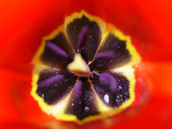 f:id:elmikamino:20110430151613j:image f:id:elmikamino:20110430151613j:image