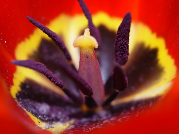 f:id:elmikamino:20110430151614j:image f:id:elmikamino:20110430151614j:image