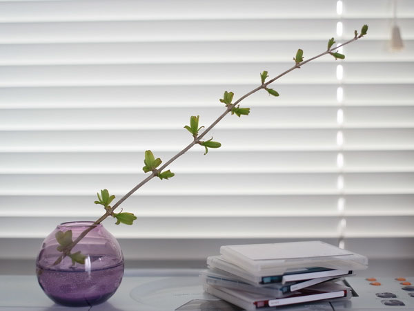 f:id:elmikamino:20110430151627j:image f:id:elmikamino:20110430151627j:image