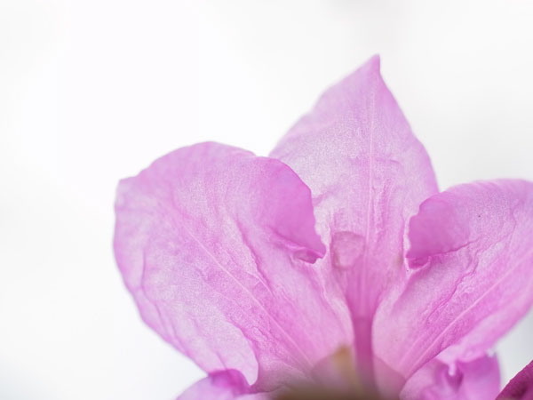 f:id:elmikamino:20110503113645j:image f:id:elmikamino:20110503113645j:image
