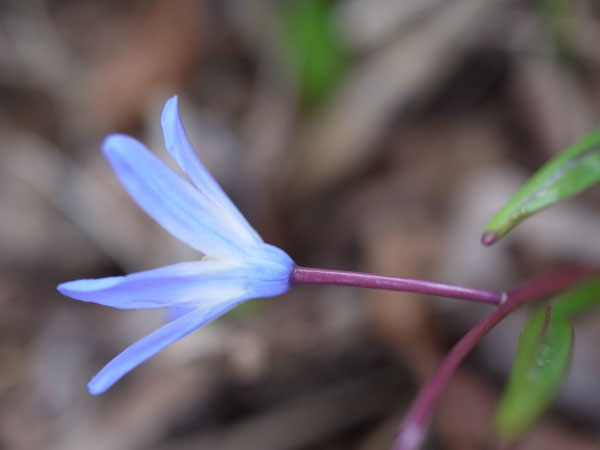 f:id:elmikamino:20110503113648j:image f:id:elmikamino:20110503113648j:image