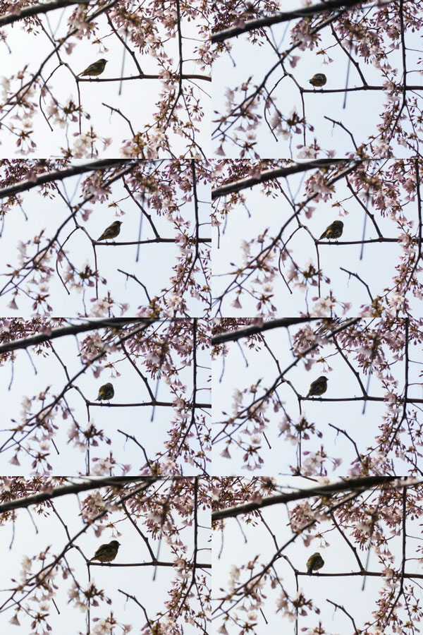 f:id:elmikamino:20110506004508j:image
