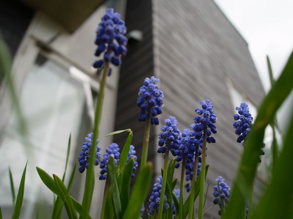 f:id:elmikamino:20110508122136j:image
