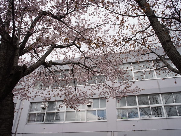 f:id:elmikamino:20110508122137j:image