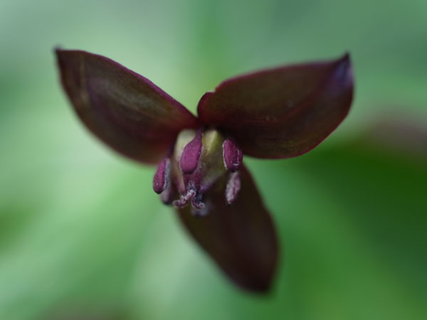 f:id:elmikamino:20110516103111j:image f:id:elmikamino:20110516103111j:image