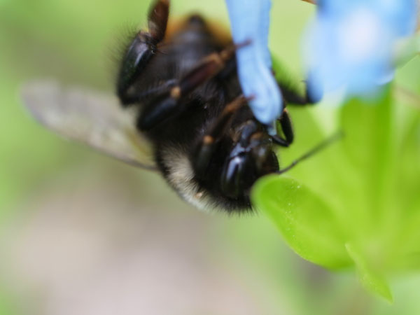 f:id:elmikamino:20110516105410j:image f:id:elmikamino:20110516105410j:image