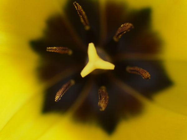 f:id:elmikamino:20110517093701j:image
